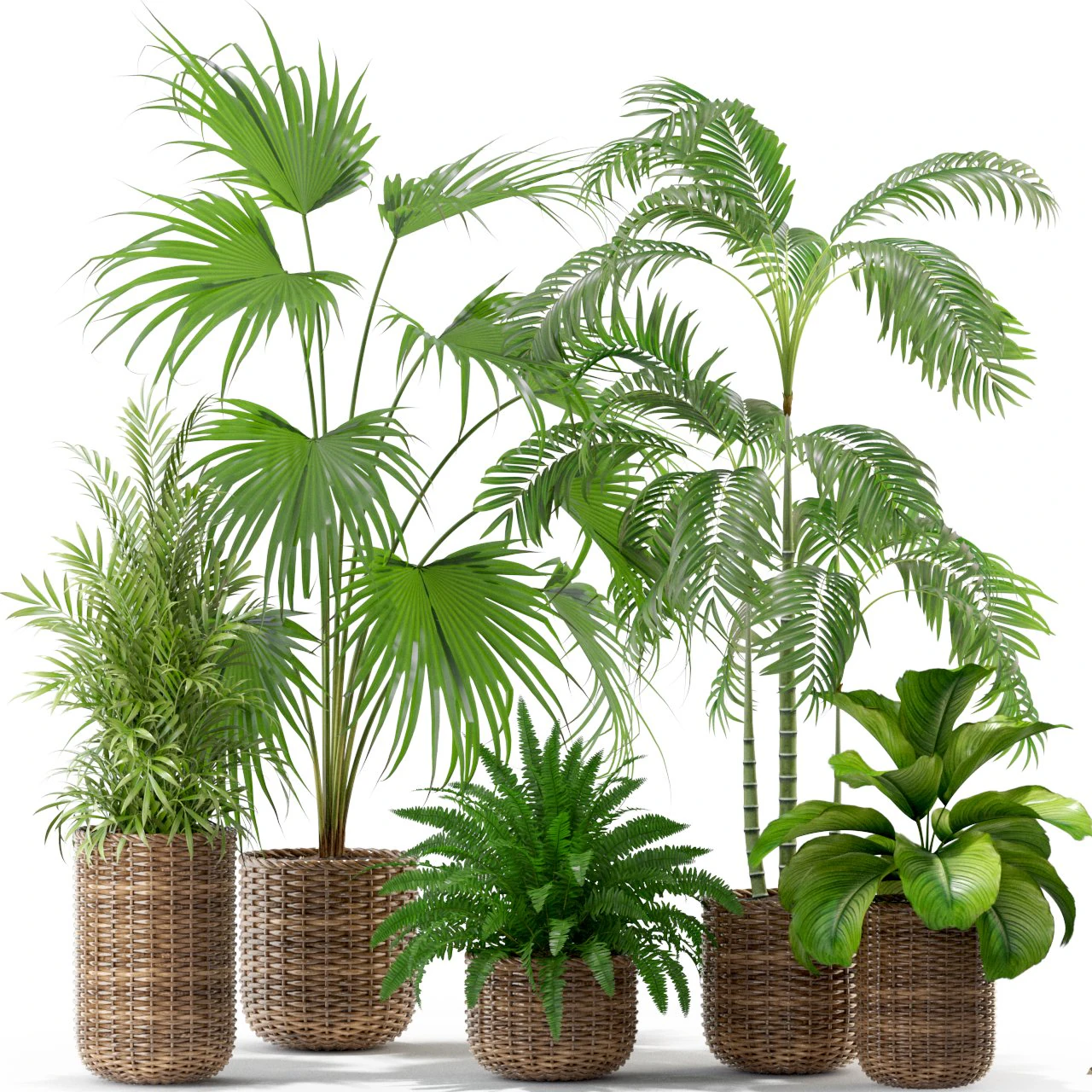 Plants collection 338 3D Model .c4d .max .obj .3ds .fbx .stl .blend 