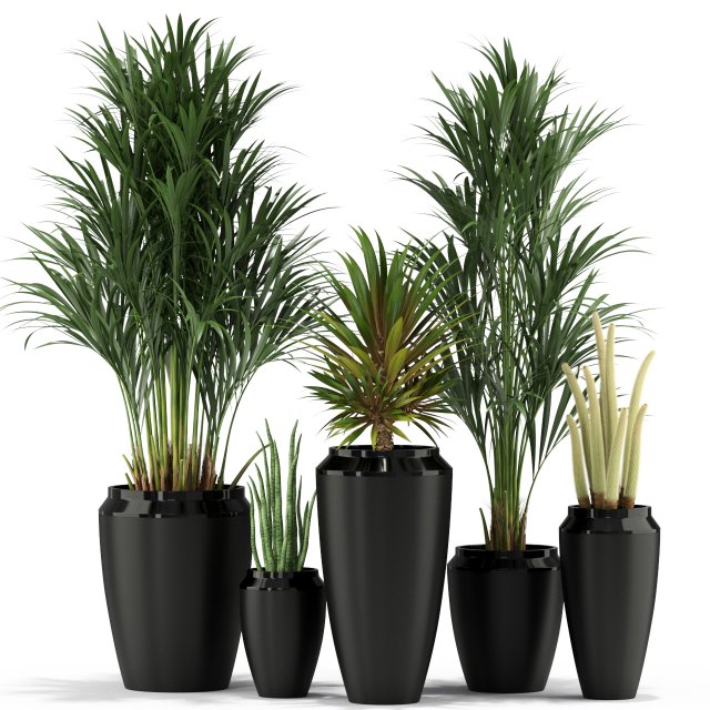 Plants collection 339 Model 3D .c4d .max .obj .3ds .fbx .stl .blend 
