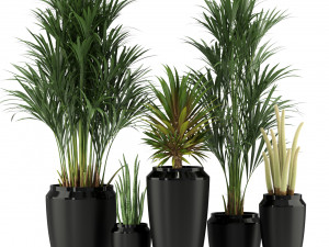 Plants collection 339 Model 3D