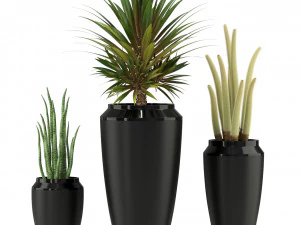 Plants collection 339 3D Model
