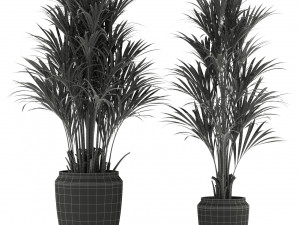 Plants collection 339 Model 3D