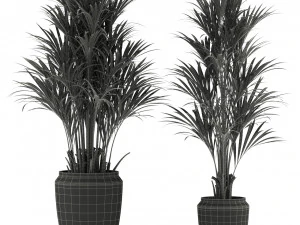 Plants collection 339 3D Model