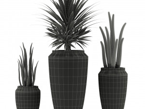Plants collection 339 Model 3D