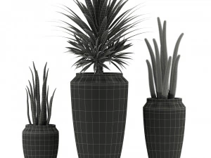 Plants collection 339 3D Model