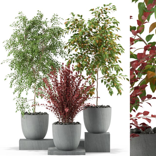 Plants collection 341 Modèle 3D .c4d .max .obj .3ds .fbx .stl .blend 