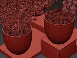 Collezione piante 341 Modello 3D