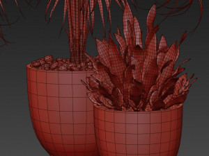 Plants collection 342 3Dモデル