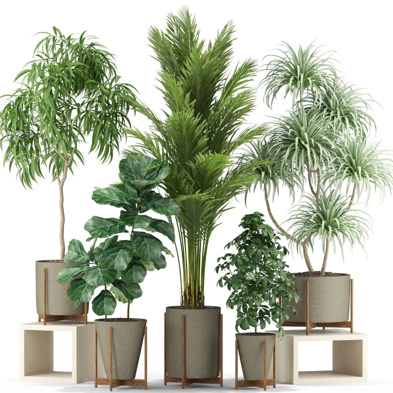 Plants collection 343 3D Model .c4d .max .obj .3ds .fbx .stl .blend