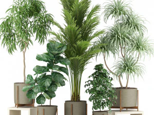 पौधों का संग्रह 343 3D मॉडल