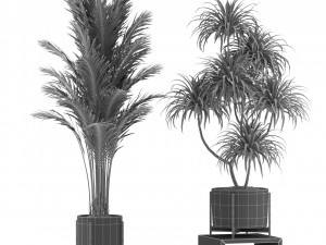 Plants collection 343 Model 3D