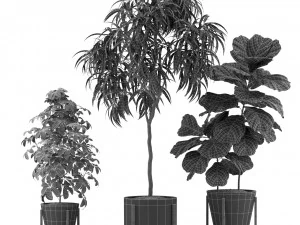 Plants collection 343 3D Model