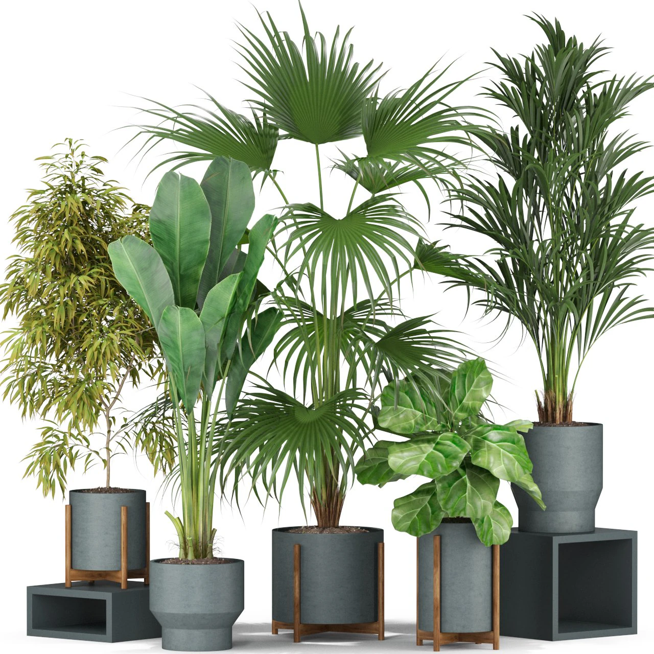 Plants collection 344 3D Model .c4d .max .obj .3ds .fbx .stl .blend 