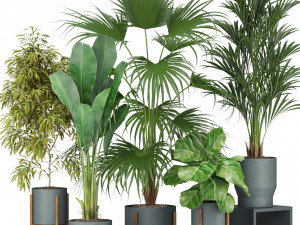 Plants collection 344 3D 모델