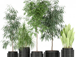 Kolekcja roślin 345 Model 3D