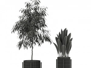 Plants collection 345 3D Model