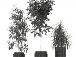 Plants collection 345 3D Model