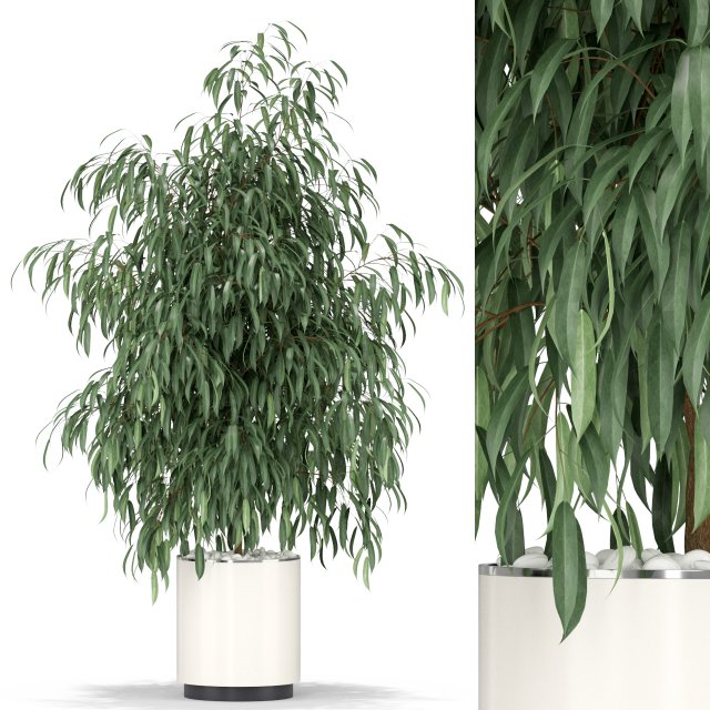 Plants collection 346 Modello 3D .c4d .max .obj .3ds .fbx .stl .blend 