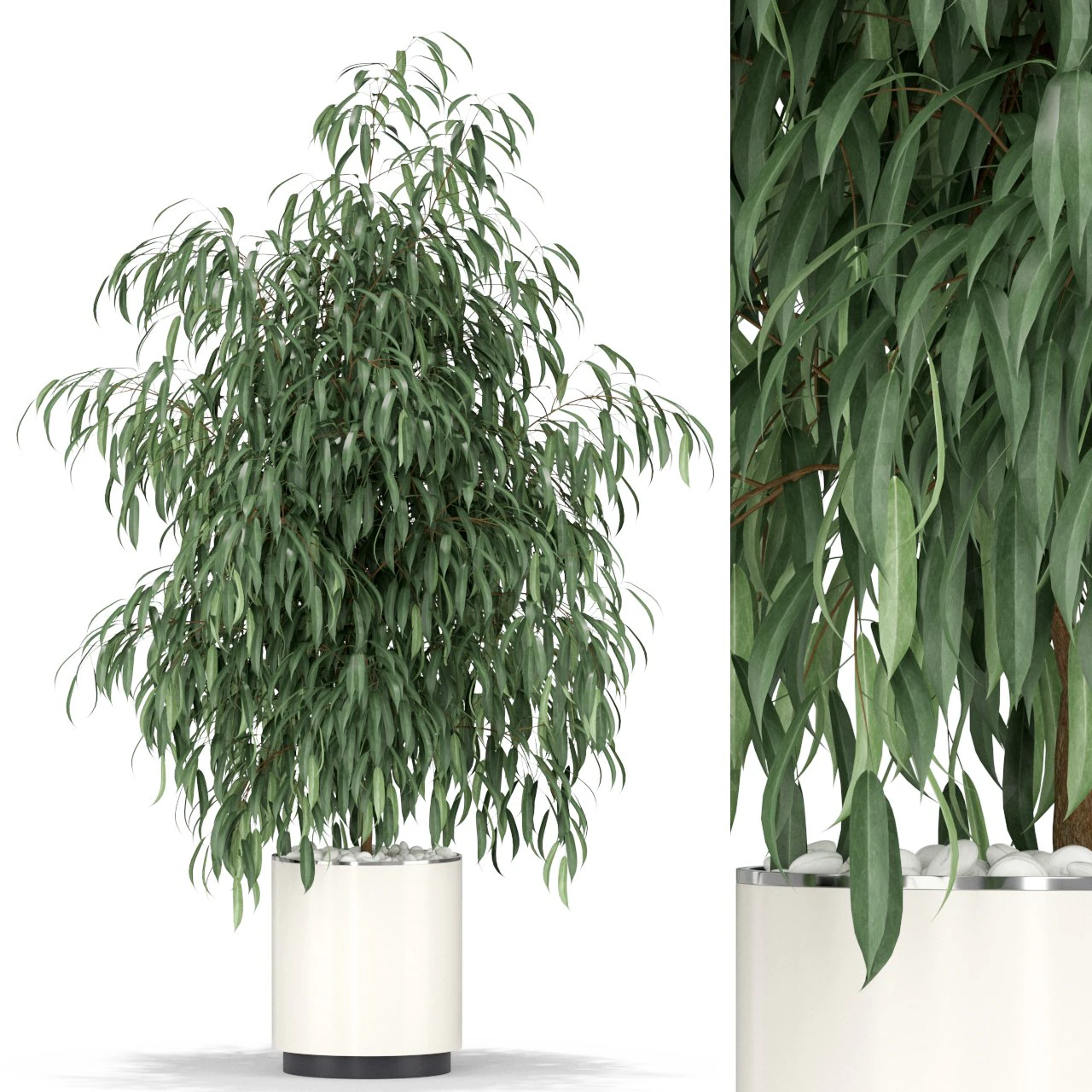 Plants collection 346 3D Model .c4d .max .obj .3ds .fbx .stl .blend 