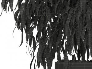 Plants collection 346 3D Model
