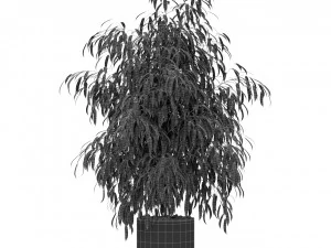 Plants collection 346 3D Model