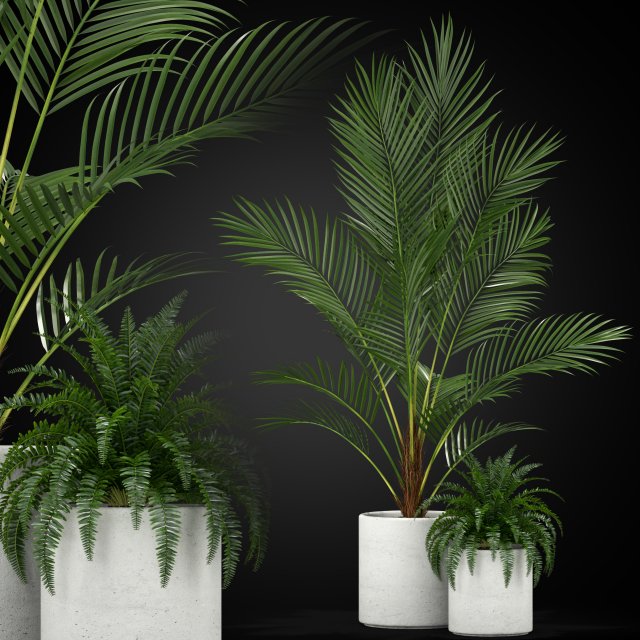 Plants collection 347 Model 3D .c4d .max .obj .3ds .fbx .stl .blend 