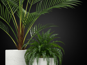 Plants collection 347 Model 3D
