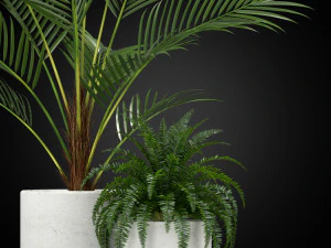 Plants collection 347 3D Model