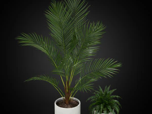Plants collection 347 3D Model