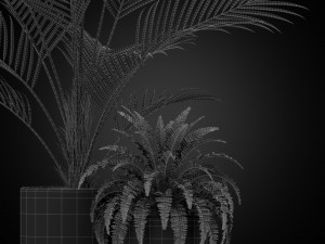 Plants collection 347 Model 3D