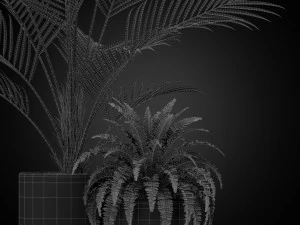 Plants collection 347 3D Model