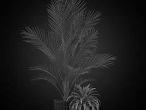 Plants collection 347 Model 3D