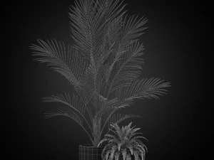 Plants collection 347 3D Model