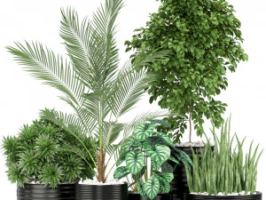 Pflanzensammlung 348 3D Modell