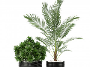 Plants collection 348 3D Модель