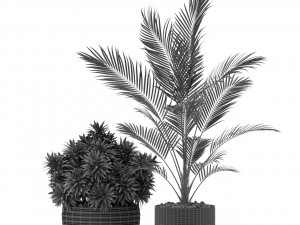 Plants collection 348 3D Модель