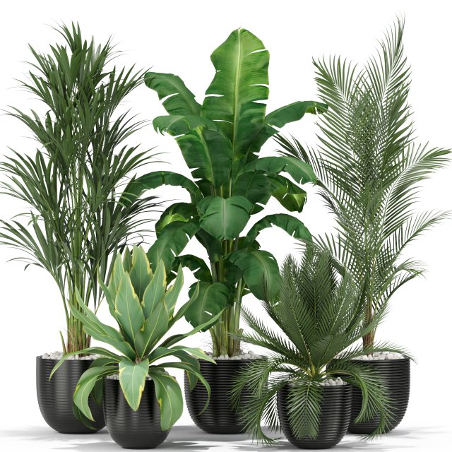 Plants collection 349 3D Модель .c4d .max .obj .3ds .fbx .stl .blend 