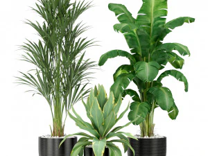 Plants collection 349 3D Model