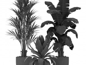 Plants collection 349 3D Модель