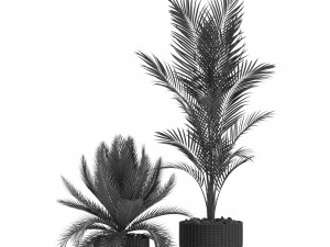 Plants collection 349 3D Модель
