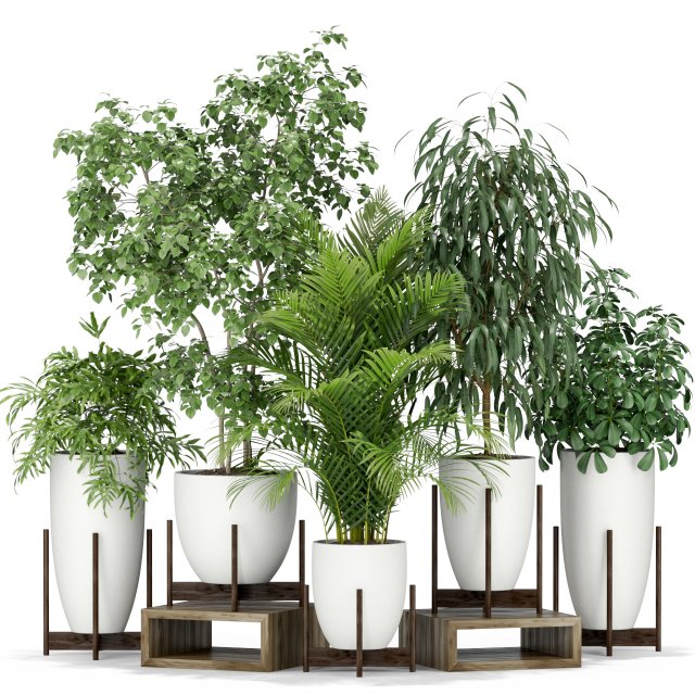 Plants collection 350 Model 3D .c4d .max .obj .3ds .fbx .stl .blend 