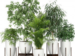 Plants collection 350 3Dモデル
