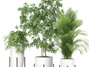 Plants collection 350 Model 3D
