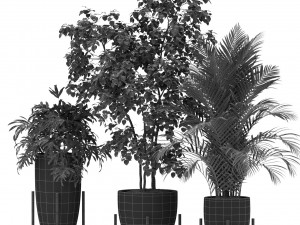 Plants collection 350 Model 3D