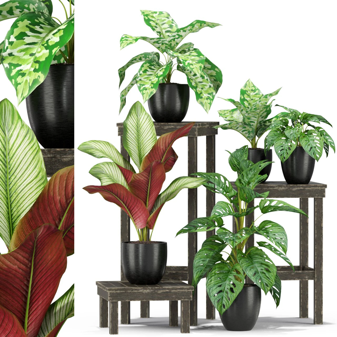 Plants collection 351 3D Model .c4d .max .obj .3ds .fbx .stl .blend