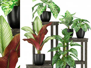 植物コレクション 351 3Dモデル