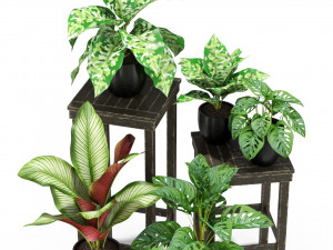 Plants collection 351 Modelo 3D