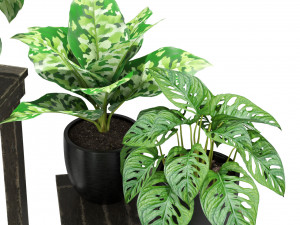 Plants collection 351 Modelo 3D