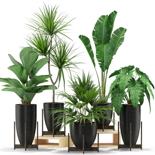 Plants collection 352 3Dモデル .c4d .max .obj .3ds .fbx .stl .blend 
