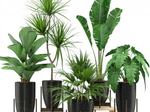 Коллекция растений 352 3D Модель