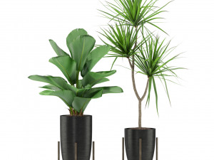 Plants collection 352 3Dモデル